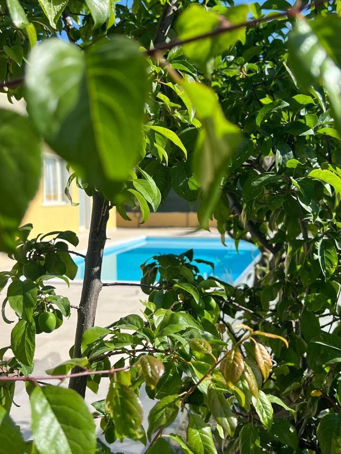 Casa Vacanze Mare Fuori 卡波特拉 外观 照片